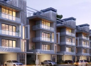 Greens New Project